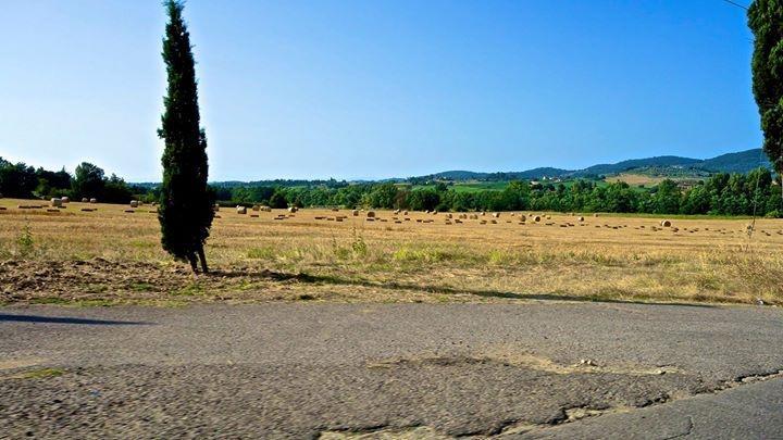 Appartamento Old England In Chianti Montespertoli Exteriör bild